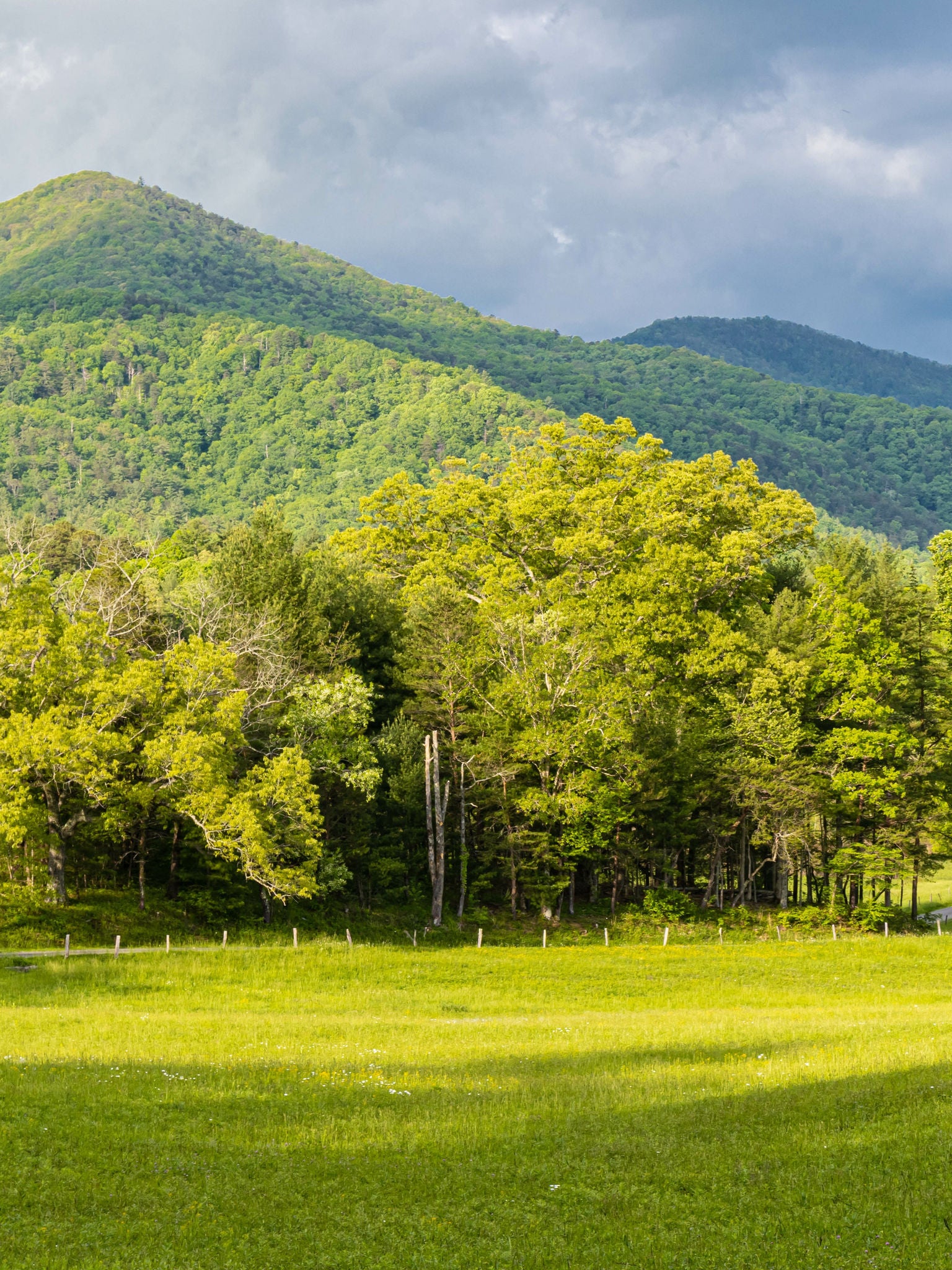 Meadow overlooking the Great Smoky Mountains