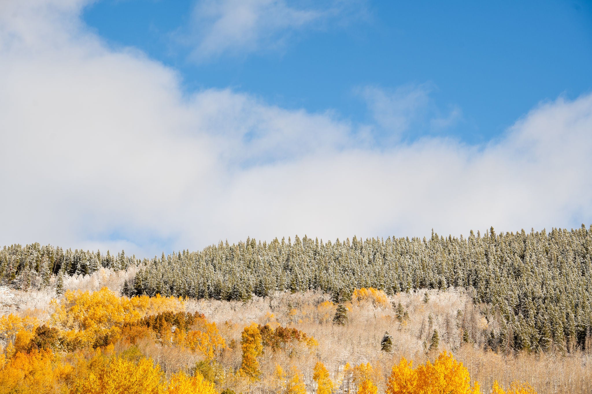 Colorado off-season