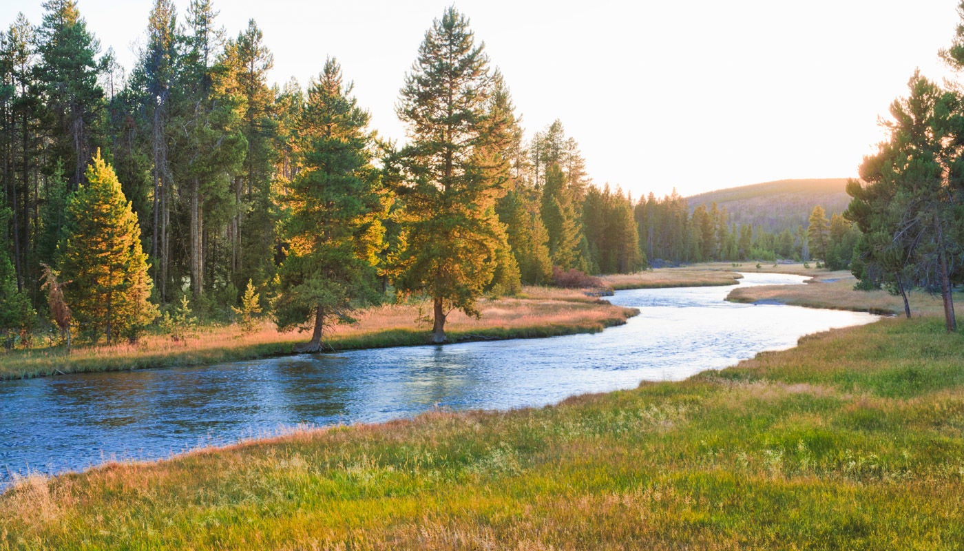 Nez Perce Creeek - Yellowstone National Park, Wyoming.