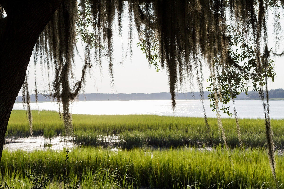 Enjoy the fresh catch of the day surrounded by loved ones in Sea Island, South Carolina.