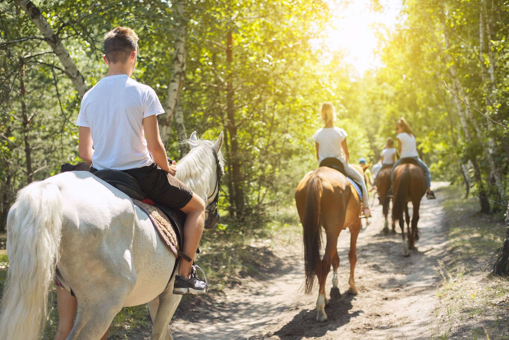 Group of teenagers on horseback riding in summer park, back view