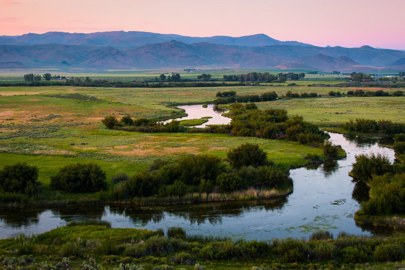 Fishing Forecast - Silver Creek Outfitters