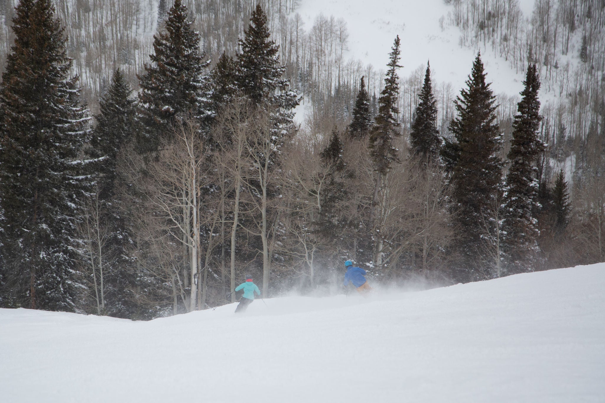 Skiing through the Mountains