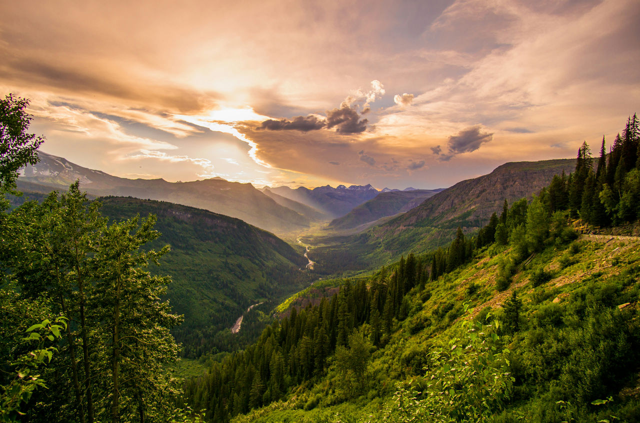 Going to the sun road