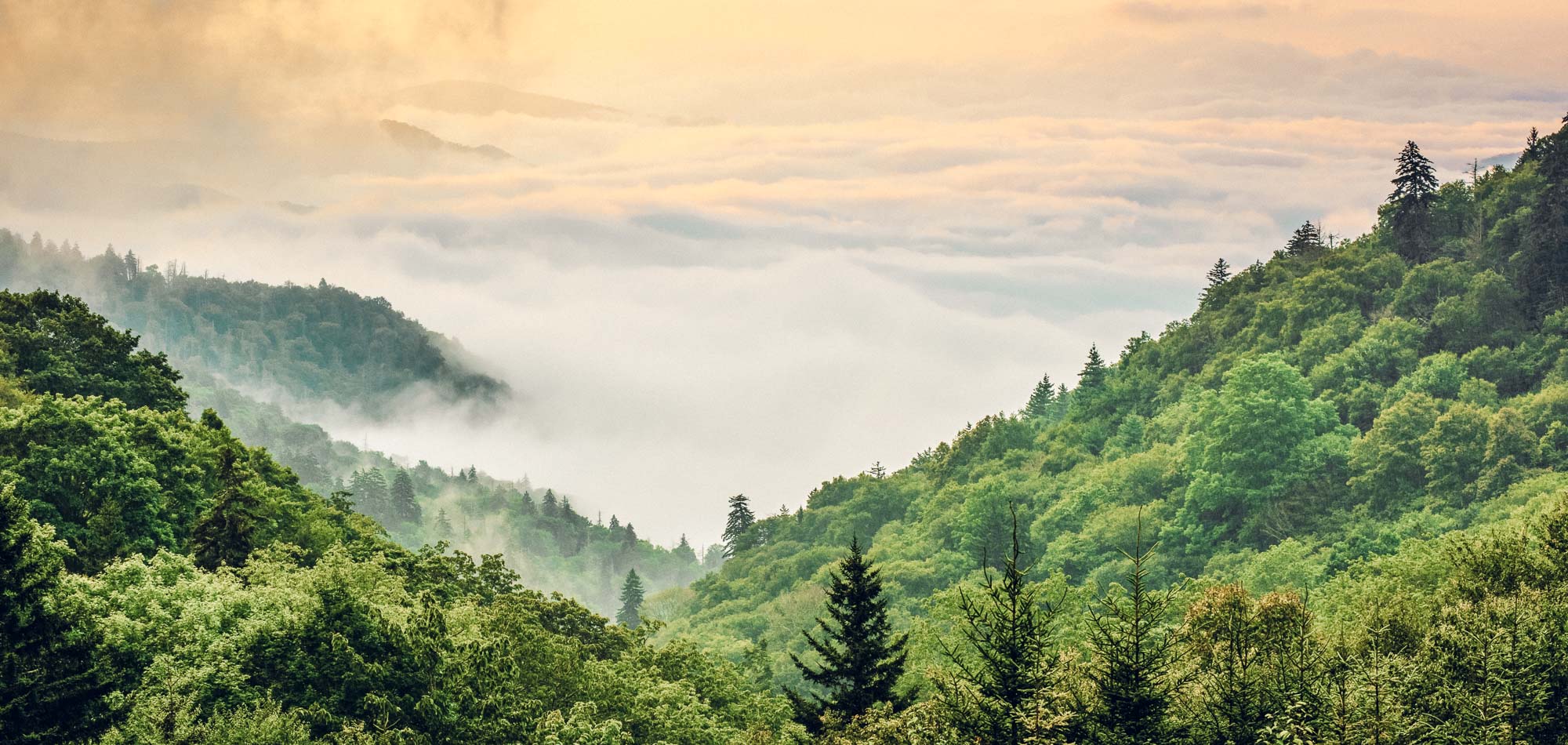 Great Smoky Mountains