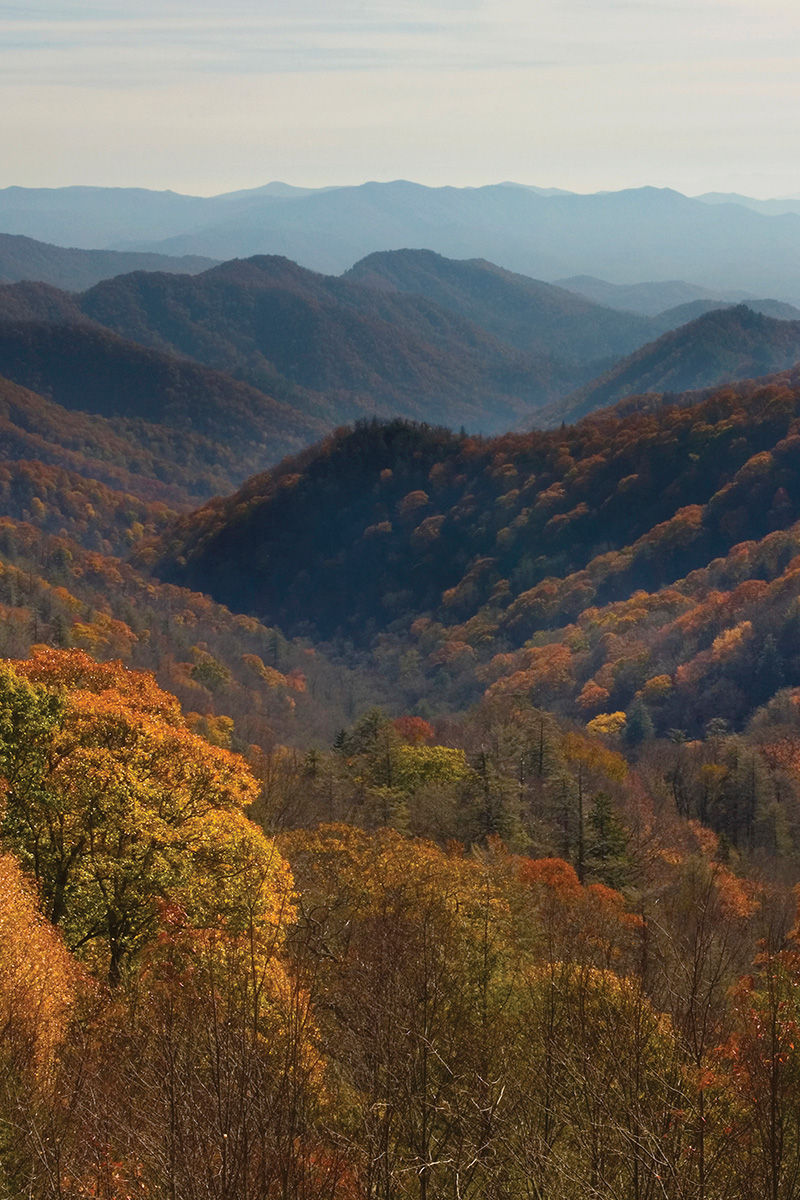 Great Smoky Mountains, TN