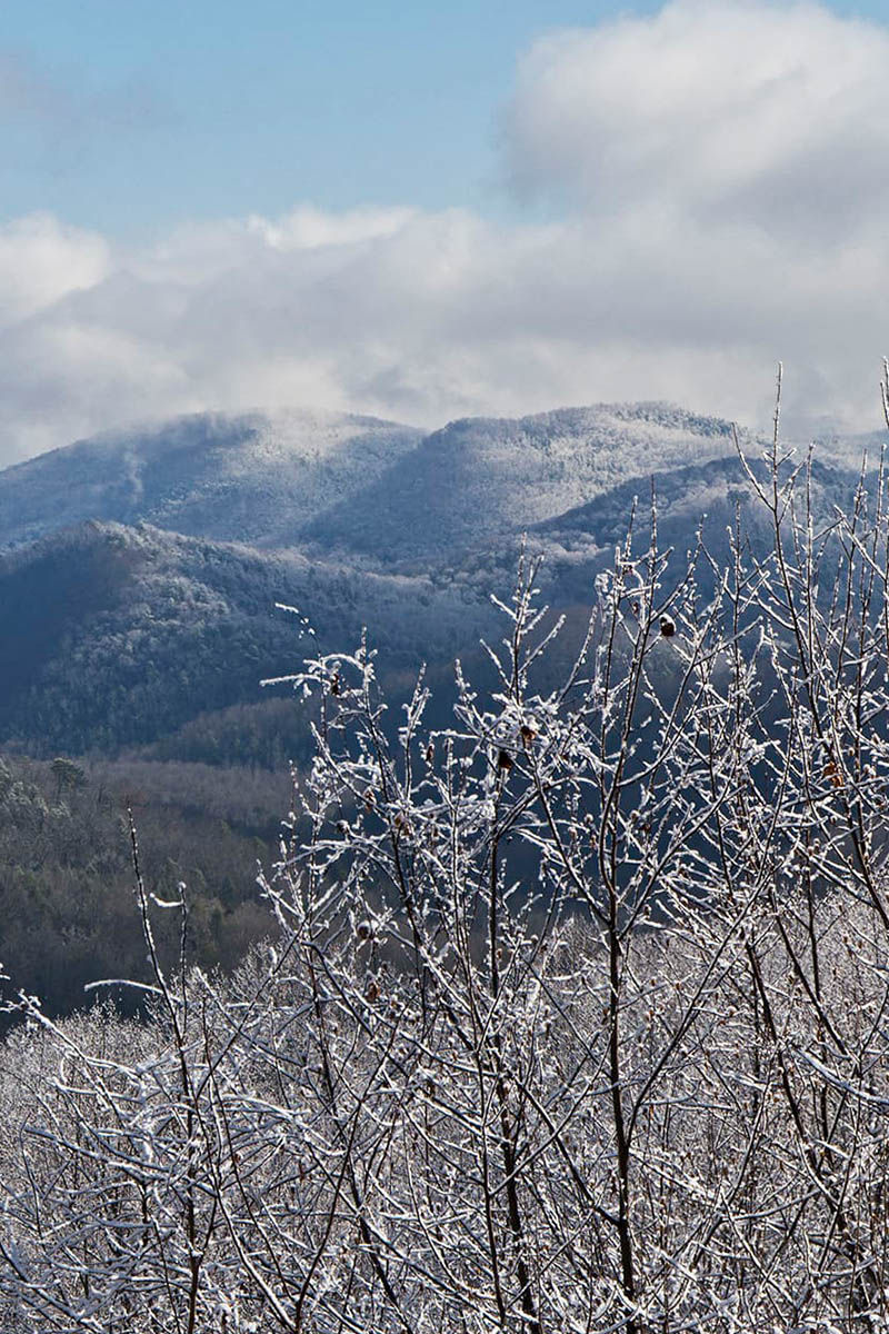 Great Smoky Mountains, TN