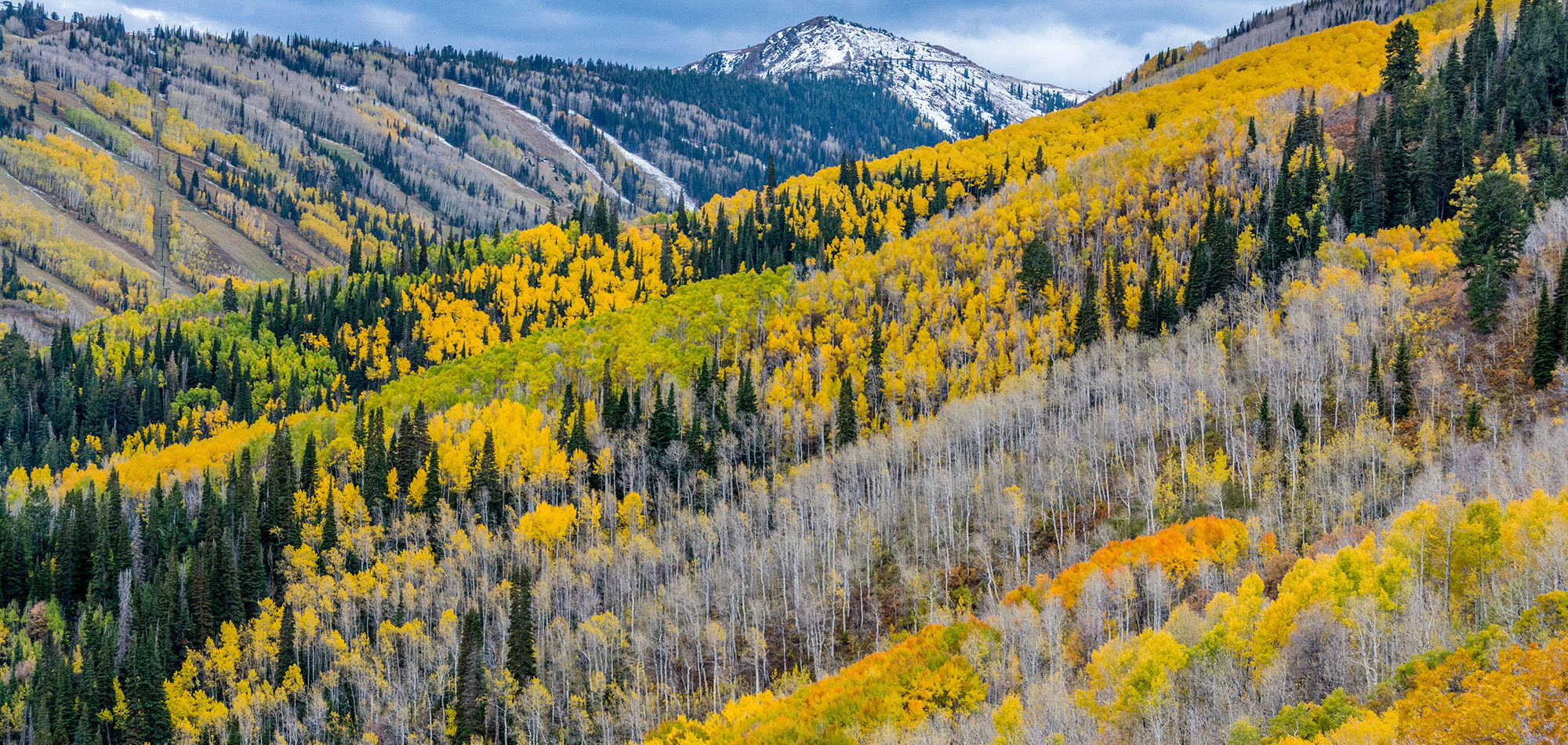 Park City landscape