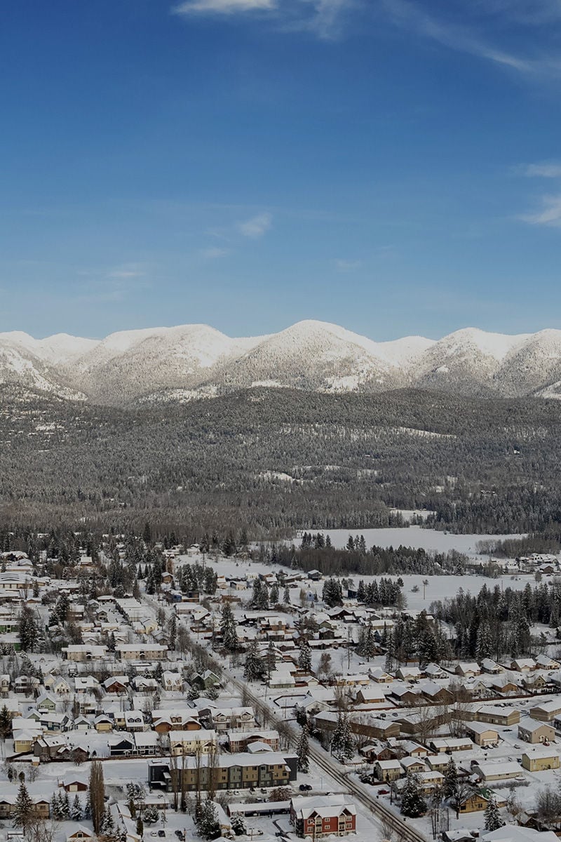 Whitefish