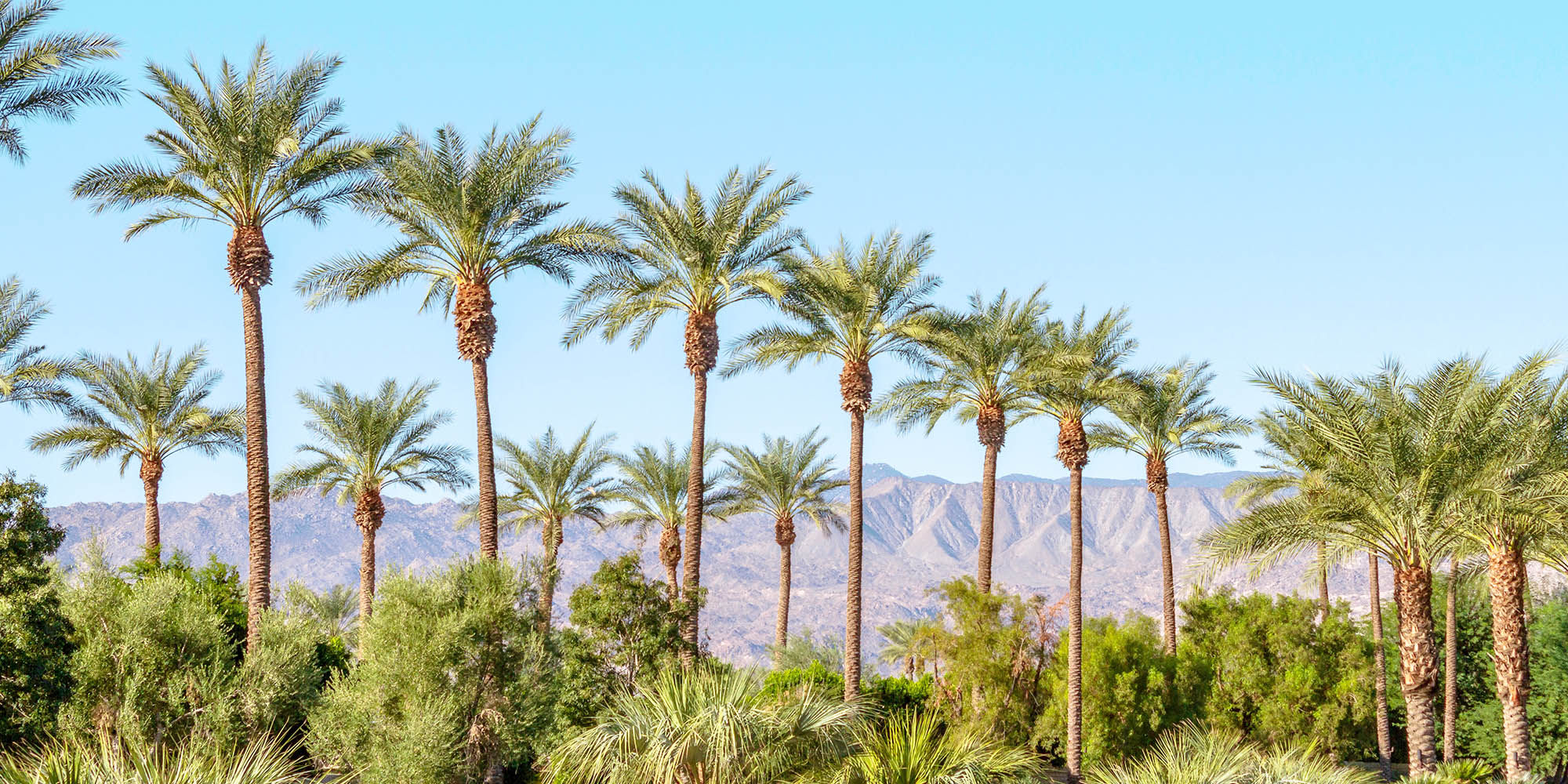 Palm Springs, California