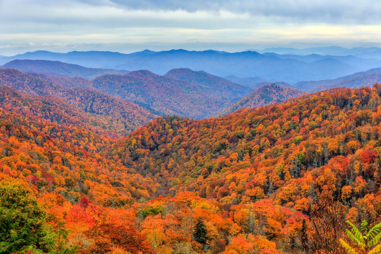 Smoky Mountains